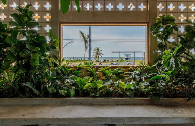 Bondo Estudio - Foto 5