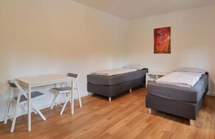 Monteurwohnungen in Trier - Parkplatz - Einzelbetten - Waschmaschine und Trockner - Foto 4