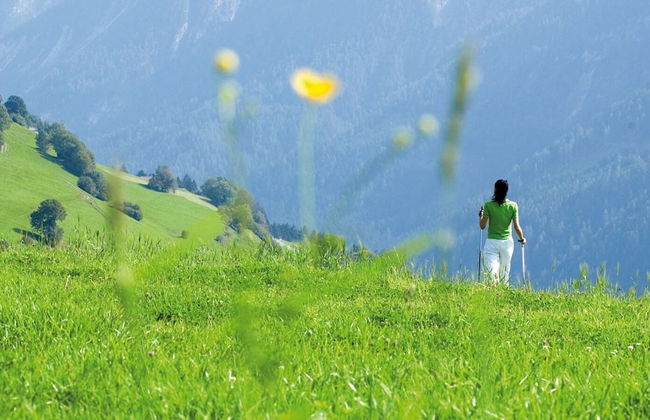 Faro Rosso - Photo 22