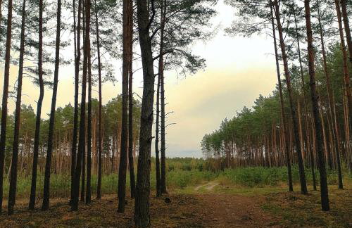 Kamiennikove - Foto 6