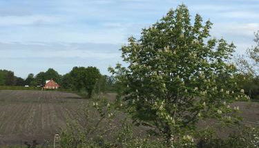 Ferienwohnung Haus Bikker - Foto 5