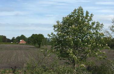 Ferienwohnung Haus Bikker - Foto 5