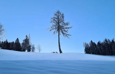 Baita Pra Petina Pale di San Martino - Photo 55