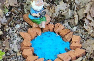 Forest Home - Foto 52