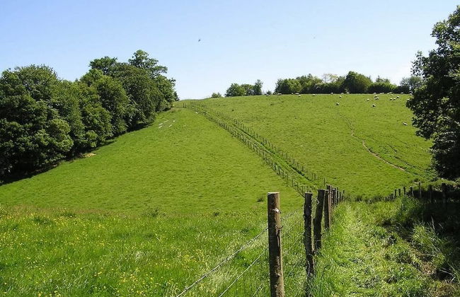 Cabane dans les Arbres - Tree House - Foto 18