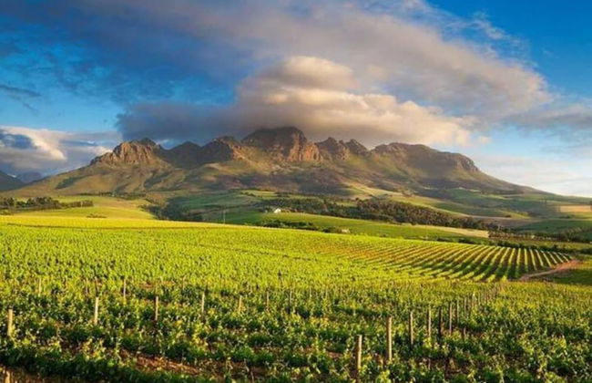 Colourful and Cosy Studio Apartment in Newlands - Foto 13