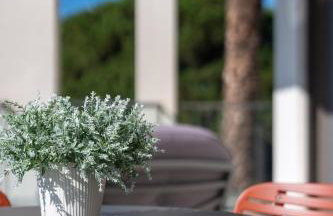 Palm View Suites - Foto 36