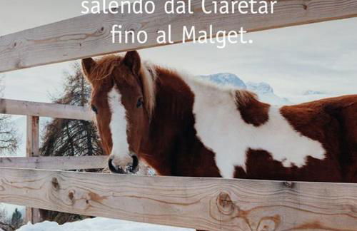 El Malget - Foto 37