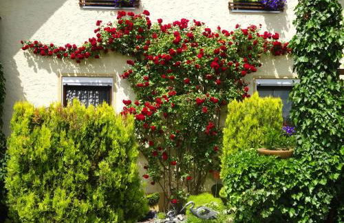 Ferienwohnung Wassergartenparadies - Foto 29
