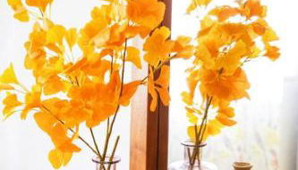 Arrifana Beach House - T2 Haller - Foto 5