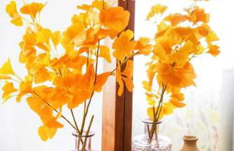 Arrifana Beach House - T2 Haller - Foto 5