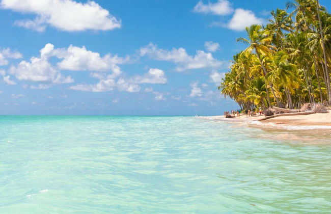 Excursion à la plage de Maragogi - Photo 7