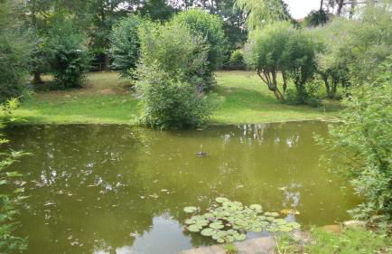 Aradia Casa a Tema Celtico Magico Naturalistico del Casale LaBandita - Foto 21