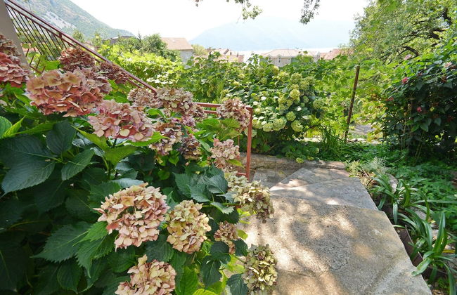 Apartments Risan Center - Foto 58