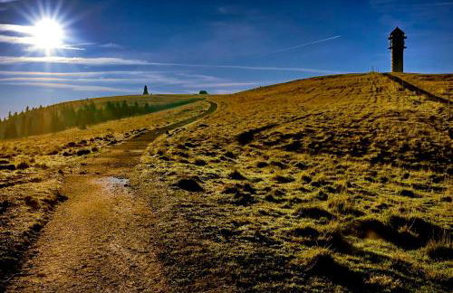Ferienhaus Lindenglück - Foto 17