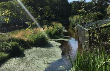 Maison Chez Loulou - Photo 26