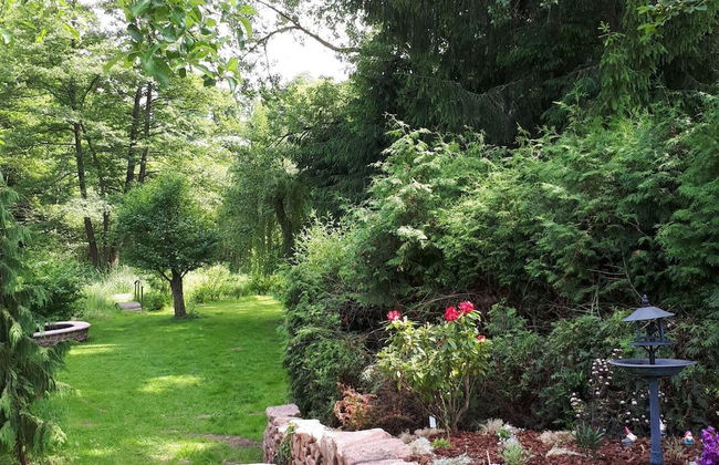 Gite Le Sapin - Photo 34