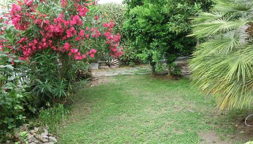 Charmantes Pfarrhaus mit Seeblick und Garten - Foto 4, Garden