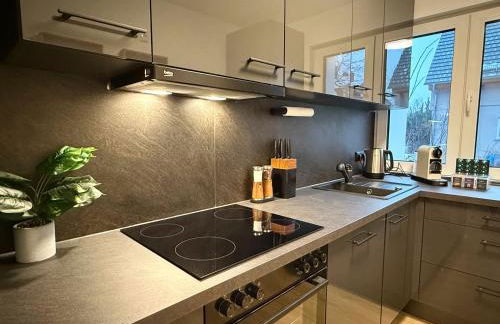 Modern Apartment near Frankfurt - Foto 5