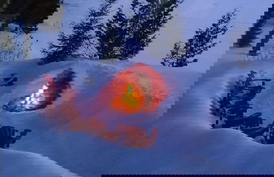 Chalet des Becassines Citq 310334 - Foto 57