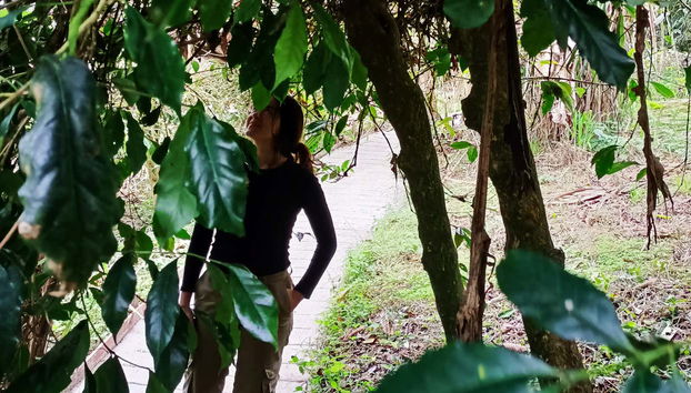 Visitando el Centro Ecocultural de Palma de Cera