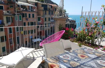 Pepita di Rio - Foto 34