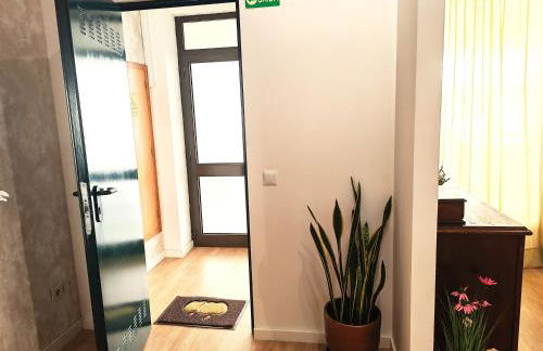 Bom Braga AL - Foto 25