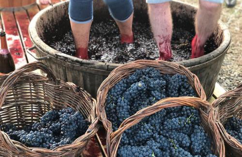 Apartamento Studio Residencial Beatriz - Foto 26