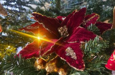 Αρχοντικό Παπανικολάου - Foto 37