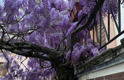 Residenza Angela - Foto 17