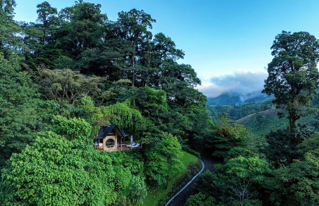 El Tigre Hideaway - Photo 27