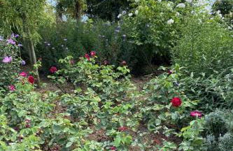 Apartment Taunustraum by Interhome - Foto 40