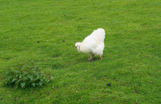 Apartment in Ubachsberg Near Scenic Trails - Photo 15