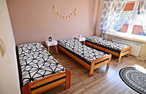 Apartament z tarasem i pokoje KLIMATYZOWANE -Drozdówka Solina - Foto 44