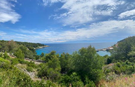 Apartman Diana - Foto 29