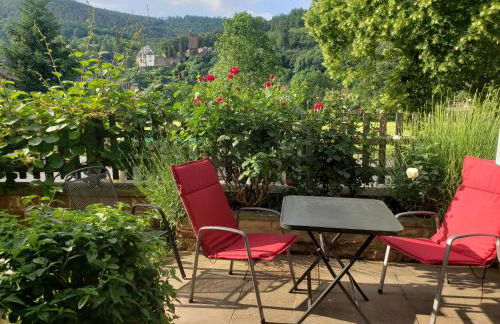 Panorama-Blick Miltenberg, 3 Pers., zentr., am Main, Terrasse, Bootverleih, P - Foto 3