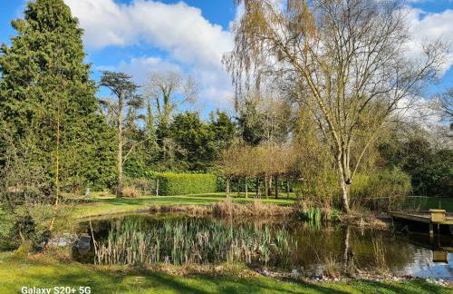 The Reading apartment with gardens, suitable for contractors - Photo 14
