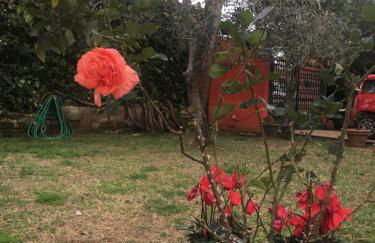 Villino Luce - Photo 37