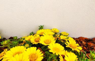 Da Mimma di Casa Camilla Journey - Foto 37