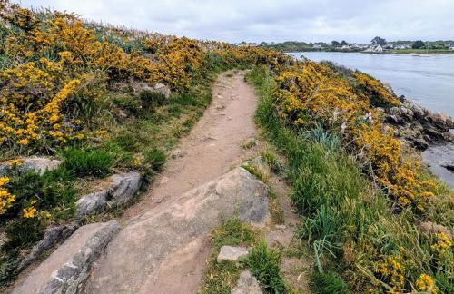 VIEUX PASSAGE, Maison avec cour privée à 150 m du PORT et de la PLAGE - Foto 43