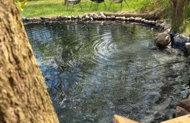 Na zielonej łące... - Foto 37