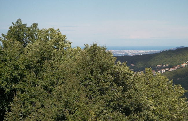 Country House Antiche Dimore - Foto 49