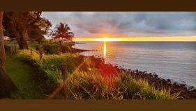 Pousada Bosque dos Aruãs - Foto 4