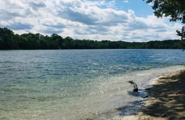 An der Glocke - Foto 21