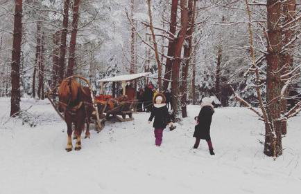 Chata Białowieska Pod Bocianem - Foto 30
