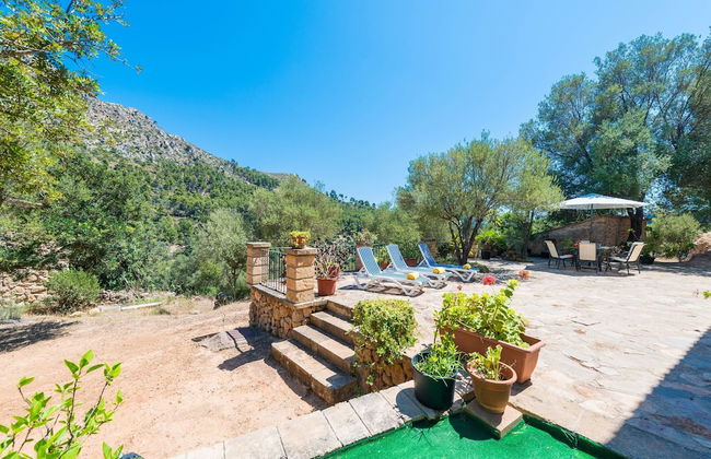 Sa Tarongera in Andratx - Foto 34