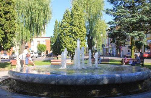 Spa Apartamenty Lidzbark - Foto 56