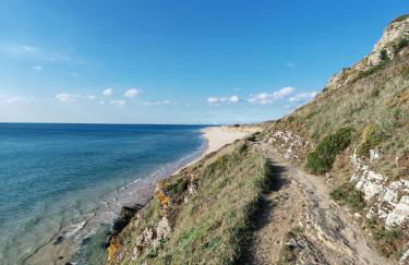 Les Sternes - Foto 74