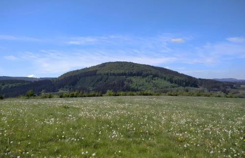 Ferienwohnung Zweite Heimat - Photo 24