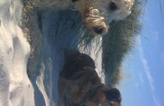 Holiday Home mit Garten- Grill und Terrasse by Interhome - Foto 82